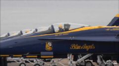 BlueAngel31018 (45).jpg